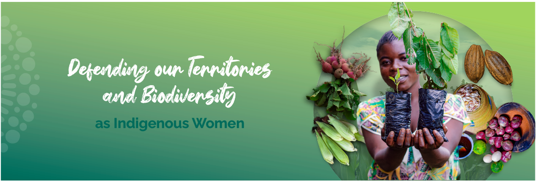 DEFENDING OUR TERRITORIES AND BIODIVERSITY AS INDIGENOUS WOMEN